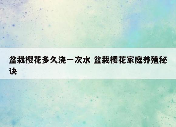 盆栽樱花多久浇一次水 盆栽樱花家庭养殖秘诀
