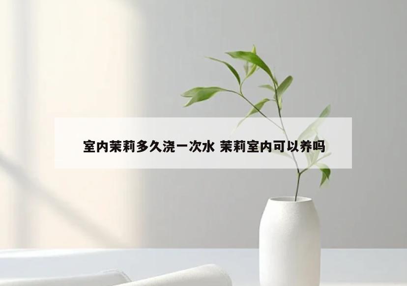室内茉莉多久浇一次水 茉莉室内可以养吗