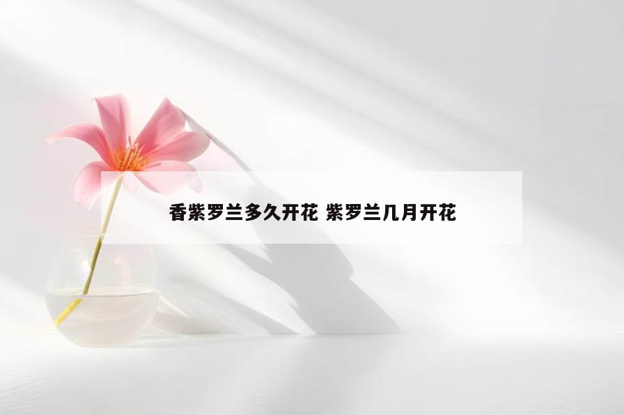 香紫罗兰多久开花 紫罗兰几月开花