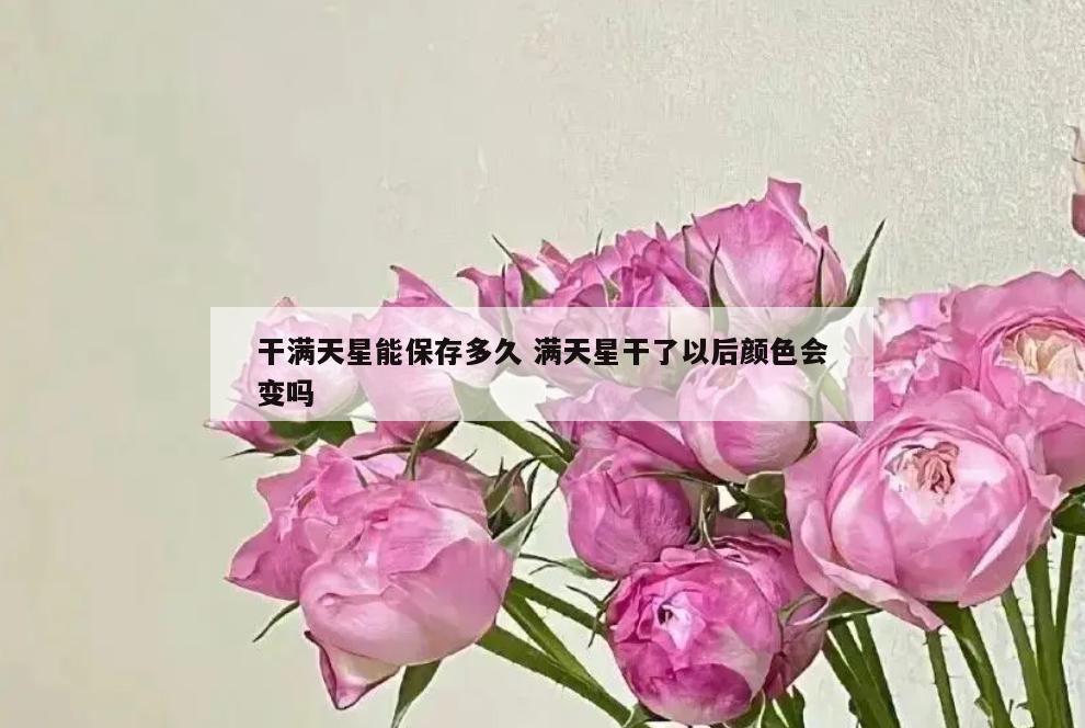 干满天星能保存多久 满天星干了以后颜色会变吗