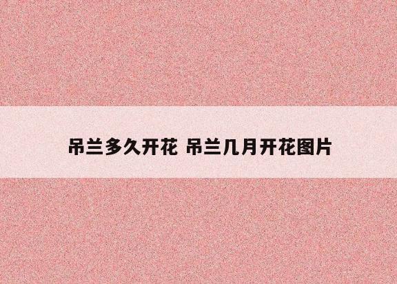 吊兰多久开花 吊兰几月开花图片