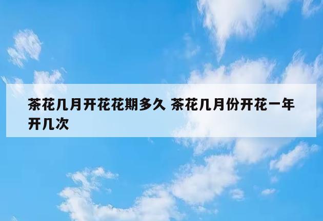 茶花几月开花花期多久 茶花几月份开花一年开几次