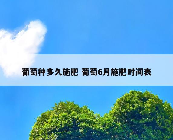 葡萄种多久施肥 葡萄6月施肥时间表