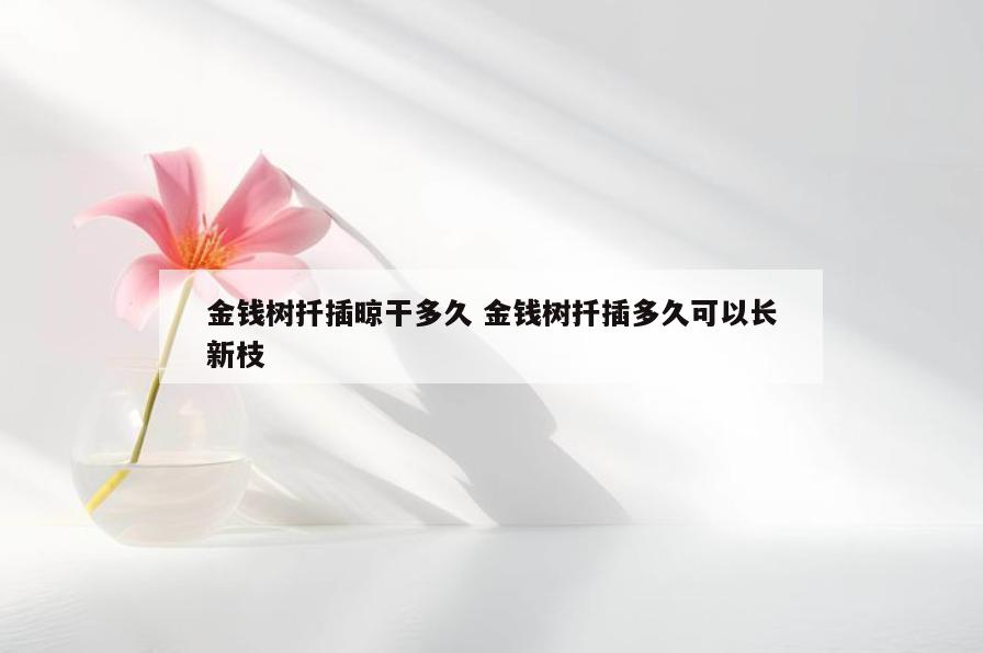 金钱树扦插晾干多久 金钱树扦插多久可以长新枝