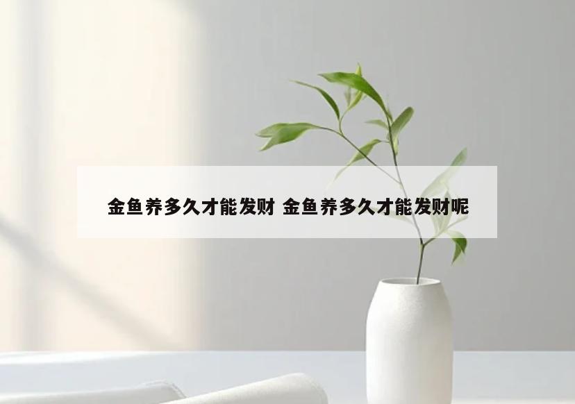 金鱼养多久才能发财 金鱼养多久才能发财呢