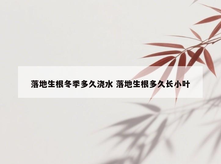 落地生根冬季多久浇水 落地生根多久长小叶