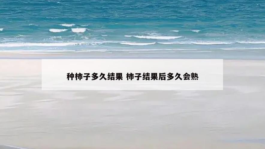种柿子多久结果 柿子结果后多久会熟