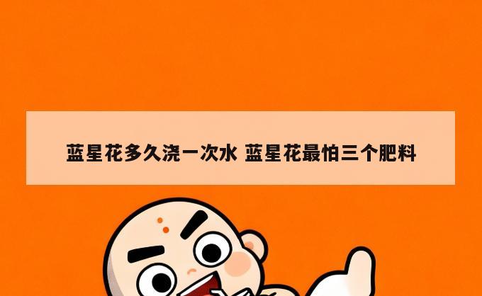 蓝星花多久浇一次水 蓝星花最怕三个肥料
