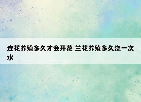 连花养殖多久才会开花 兰花养殖多久浇一次水