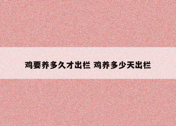 鸡要养多久才出栏 鸡养多少天出栏