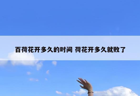 百荷花开多久的时间 荷花开多久就败了