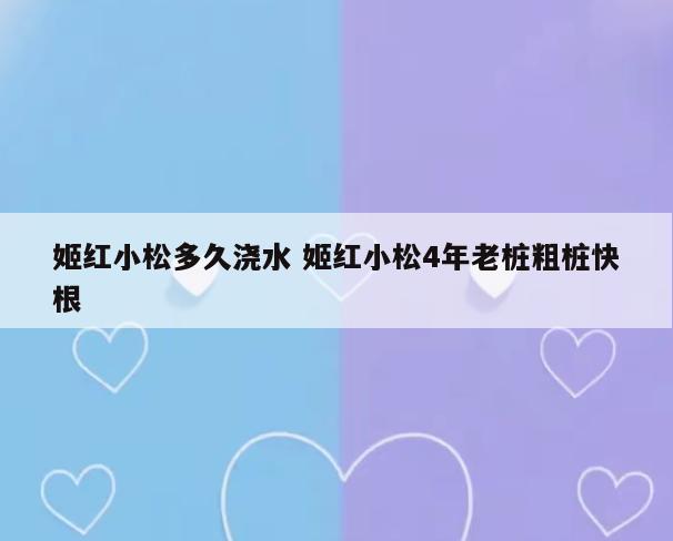 姬红小松多久浇水 姬红小松4年老桩粗桩快根
