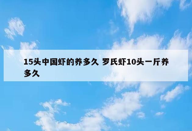 15头中国虾的养多久 罗氏虾10头一斤养多久