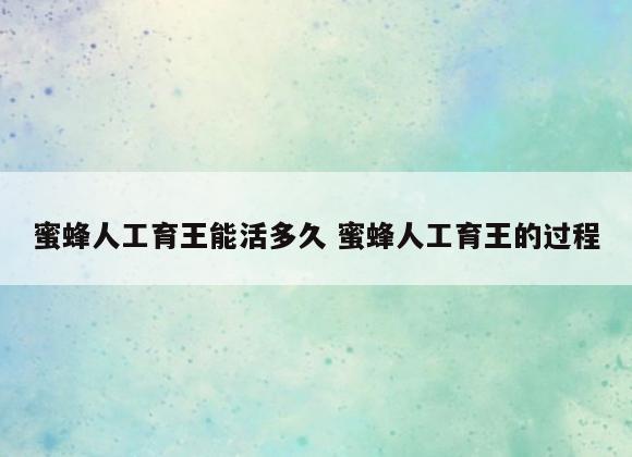 蜜蜂人工育王能活多久 蜜蜂人工育王的过程