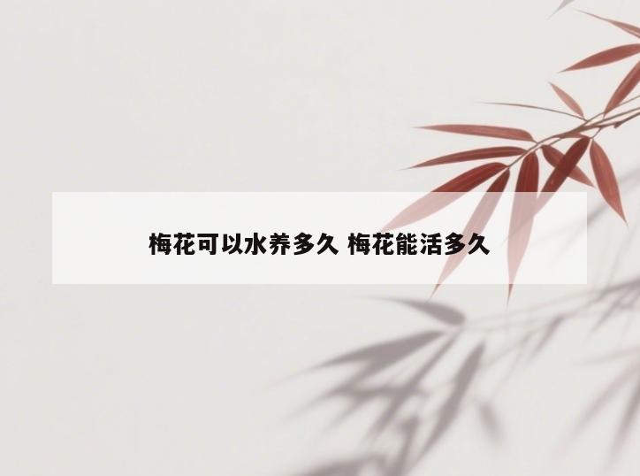 梅花可以水养多久 梅花能活多久