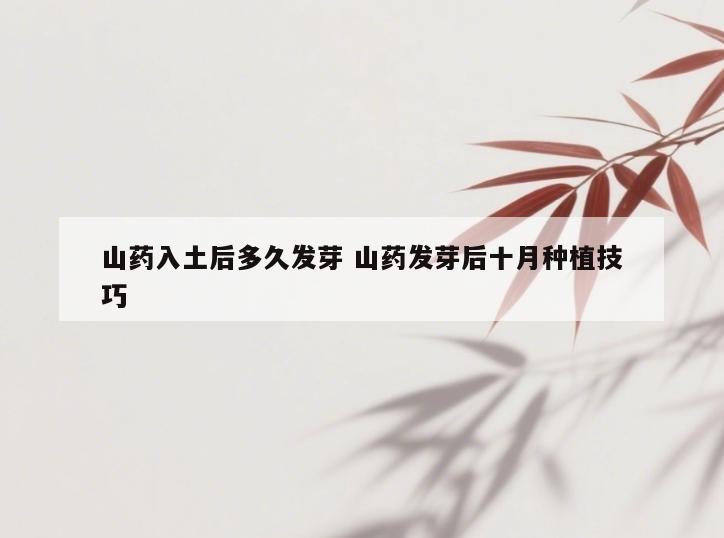 山药入土后多久发芽 山药发芽后十月种植技巧