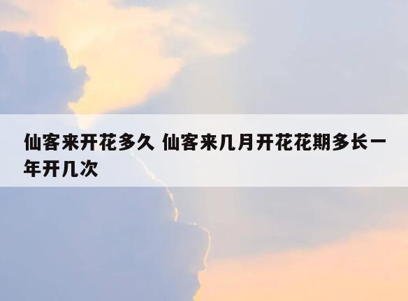 仙客来开花多久 仙客来几月开花花期多长一年开几次
