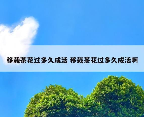 移栽茶花过多久成活 移栽茶花过多久成活啊