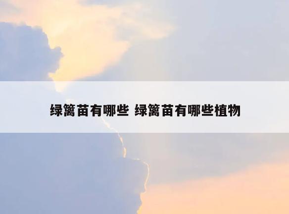 绿篱苗有哪些 绿篱苗有哪些植物