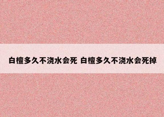 白檀多久不浇水会死 白檀多久不浇水会死掉
