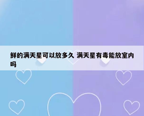 鲜的满天星可以放多久 满天星有毒能放室内吗