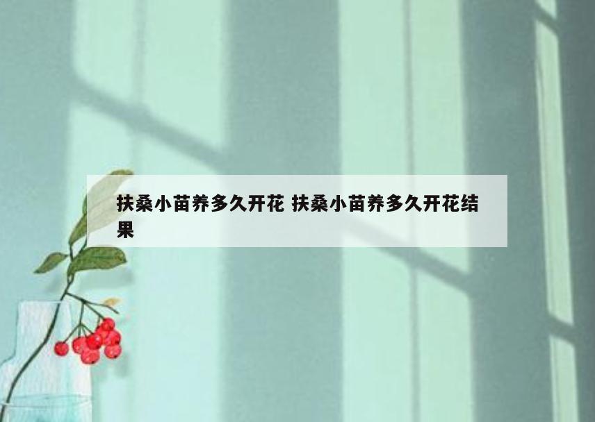 扶桑小苗养多久开花 扶桑小苗养多久开花结果