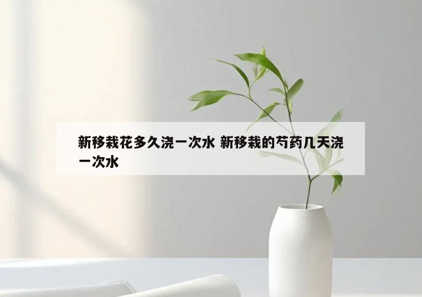 新移栽花多久浇一次水 新移栽的芍药几天浇一次水