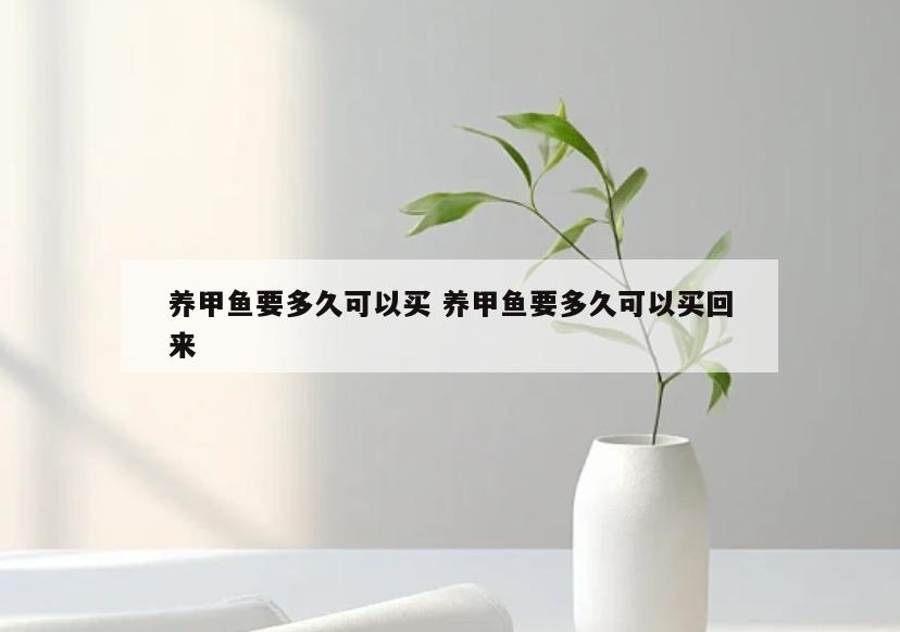养甲鱼要多久可以买 养甲鱼要多久可以买回来