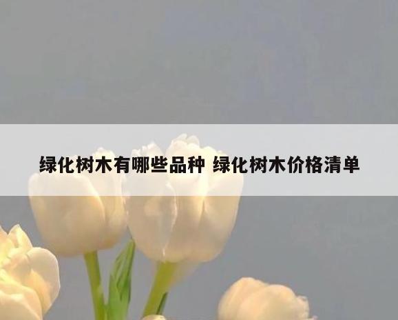 绿化树木有哪些品种 绿化树木价格清单