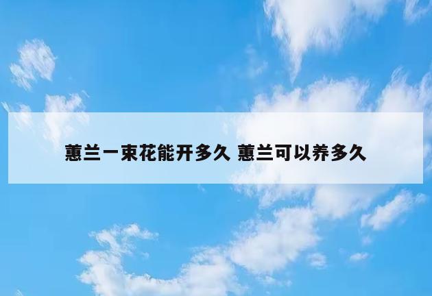 蕙兰一束花能开多久 蕙兰可以养多久
