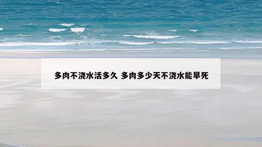 多肉不浇水活多久 多肉多少天不浇水能旱死