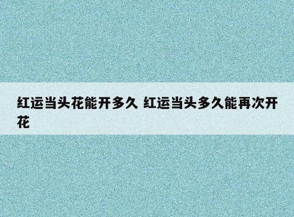 红运当头花能开多久 红运当头多久能再次开花
