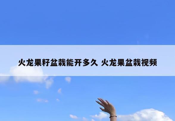 火龙果籽盆栽能开多久 火龙果盆栽视频