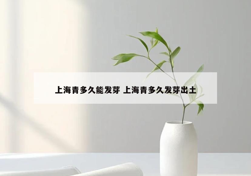 上海青多久能发芽 上海青多久发芽出土