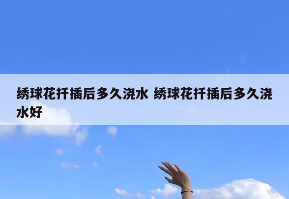 绣球花扦插后多久浇水 绣球花扦插后多久浇水好