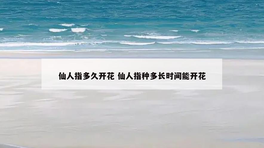 仙人指多久开花 仙人指种多长时间能开花