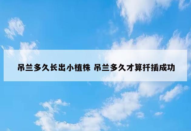 吊兰多久长出小植株 吊兰多久才算扦插成功