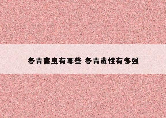 冬青害虫有哪些 冬青毒性有多强
