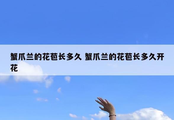 蟹爪兰的花苞长多久 蟹爪兰的花苞长多久开花