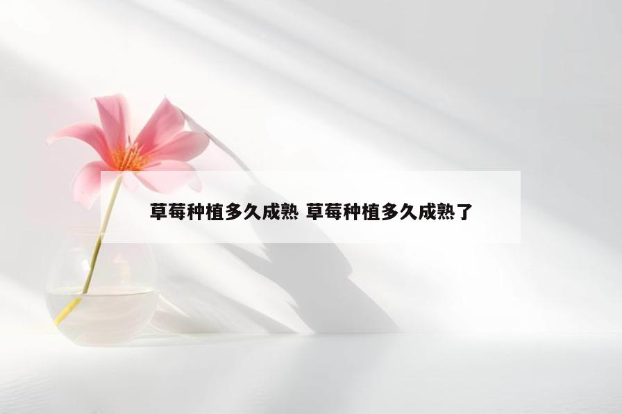 草莓种植多久成熟 草莓种植多久成熟了