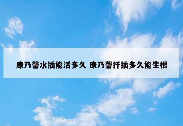 康乃馨水插能活多久 康乃馨扦插多久能生根