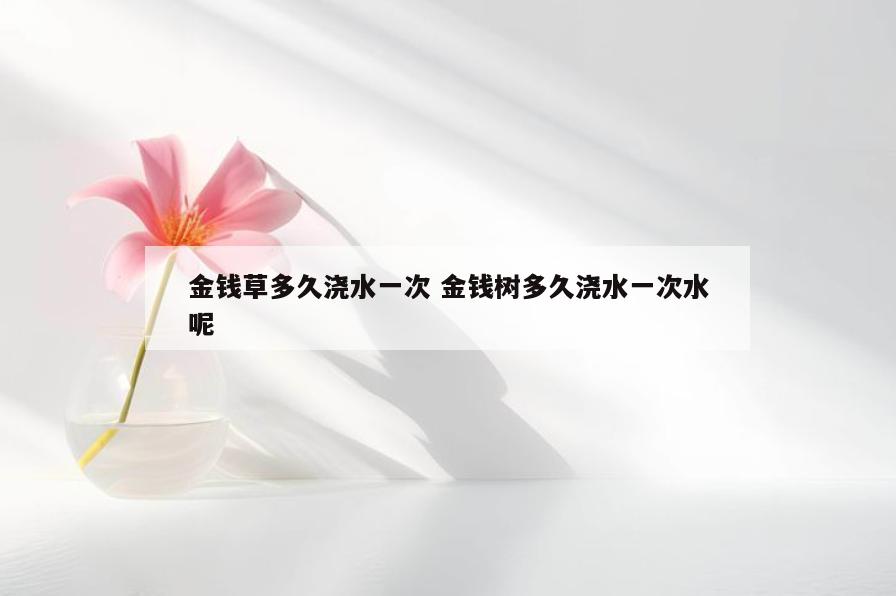 金钱草多久浇水一次 金钱树多久浇水一次水呢