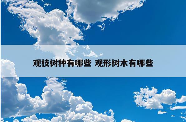 观枝树种有哪些 观形树木有哪些
