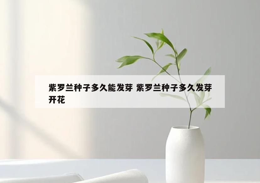 紫罗兰种子多久能发芽 紫罗兰种子多久发芽开花