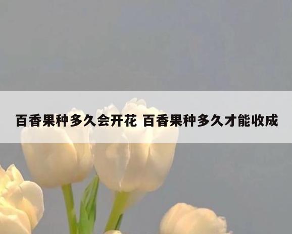 百香果种多久会开花 百香果种多久才能收成