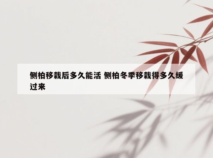 侧柏移栽后多久能活 侧柏冬季移栽得多久缓过来