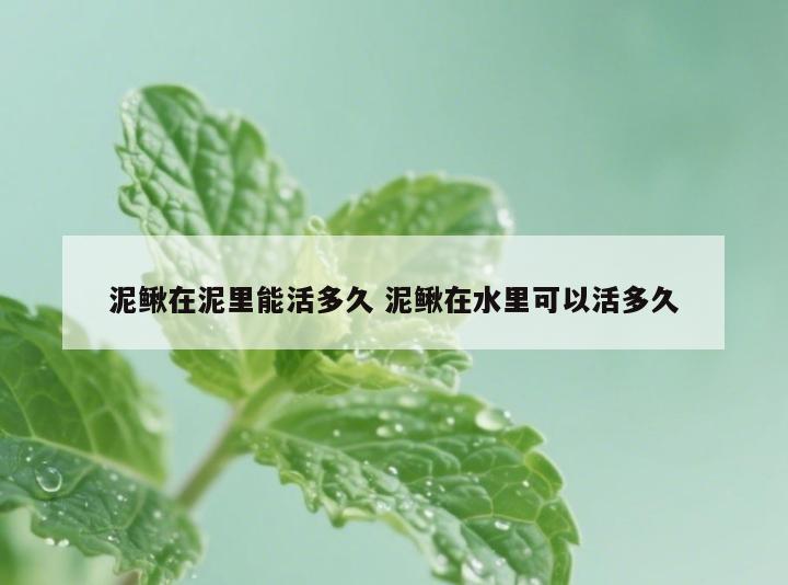 泥鳅在泥里能活多久 泥鳅在水里可以活多久