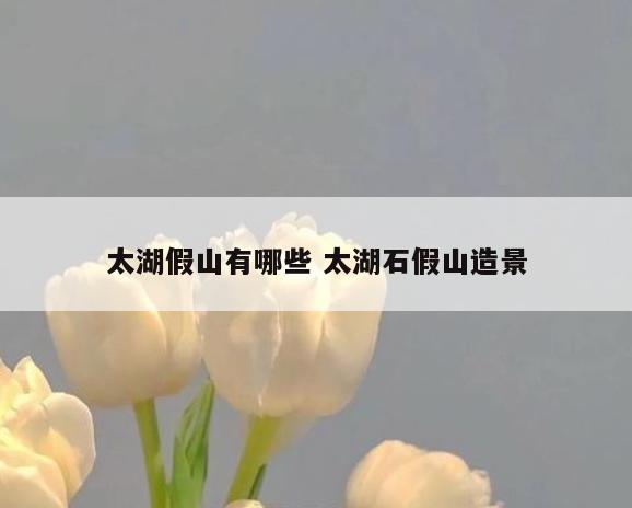 太湖假山有哪些 太湖石假山造景