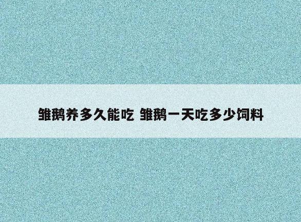 雏鹅养多久能吃 雏鹅一天吃多少饲料