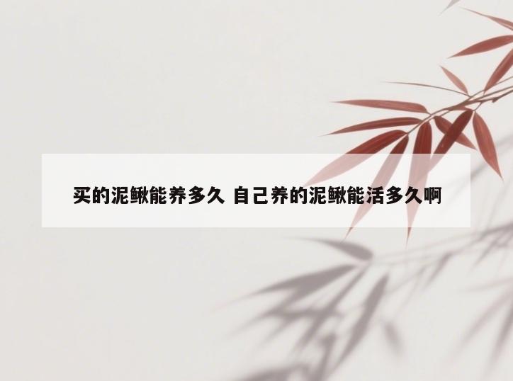 买的泥鳅能养多久 自己养的泥鳅能活多久啊